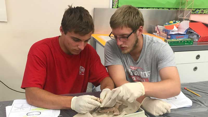 Two NJ students perform a dissection of a starfish