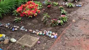 Student Rock Garden